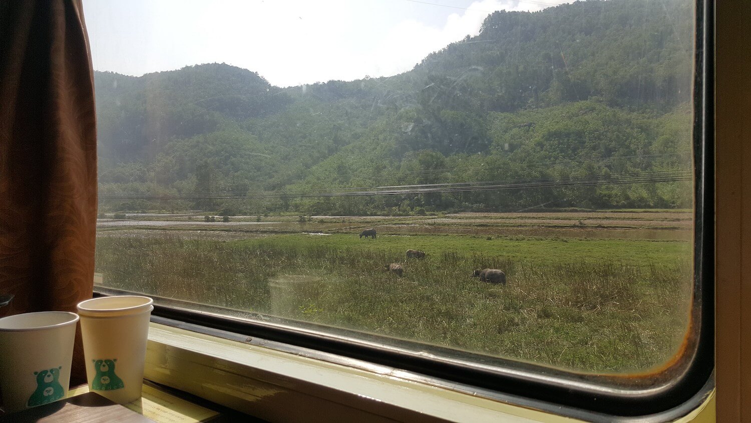 Vue du train: des collines, une rizière, des buffles d'eau