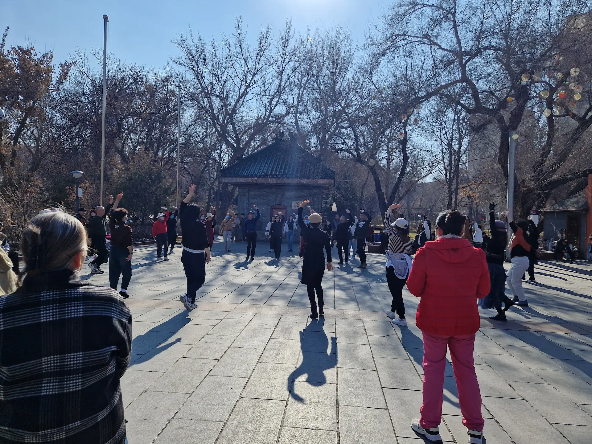 Sur une place du parc, des personnes forment une ronde et dansent de façon synchronisée.