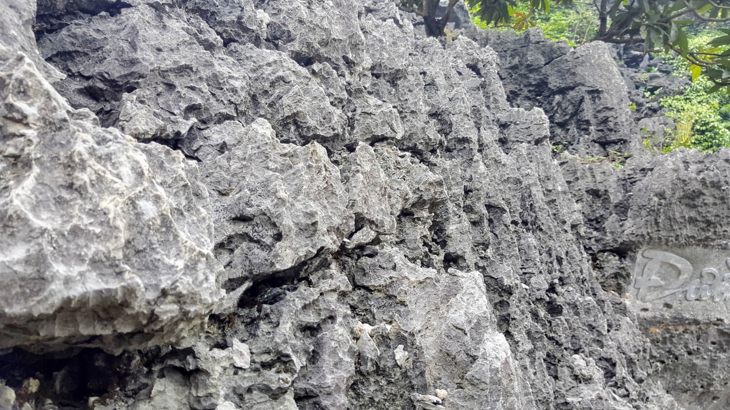 Zoom sur le mur de pierres