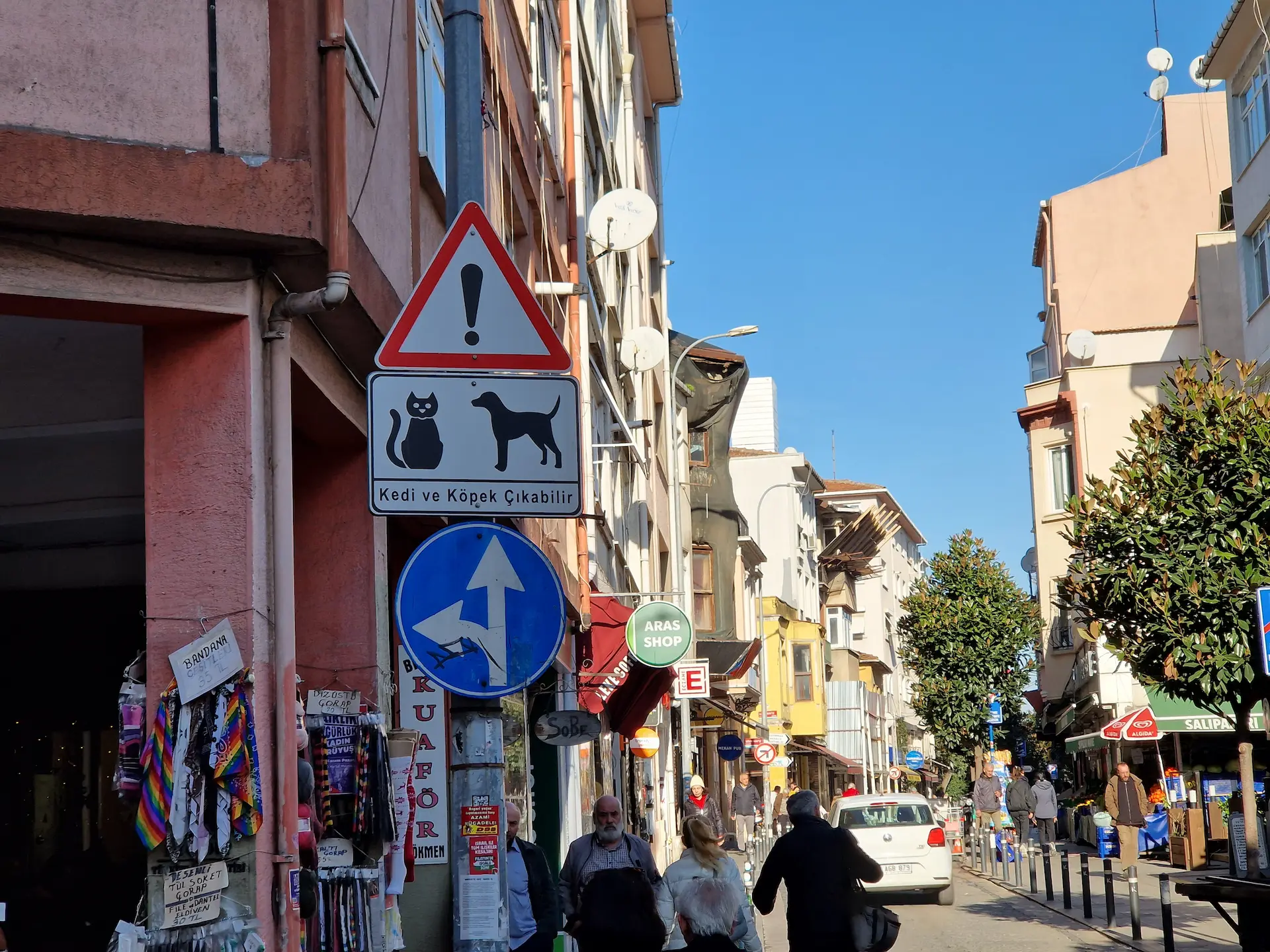 Une rue ensoleillée de Yeldeğirmeni, des gens à pied, un panneau attention aux chats et chiens, un grand trottoir.