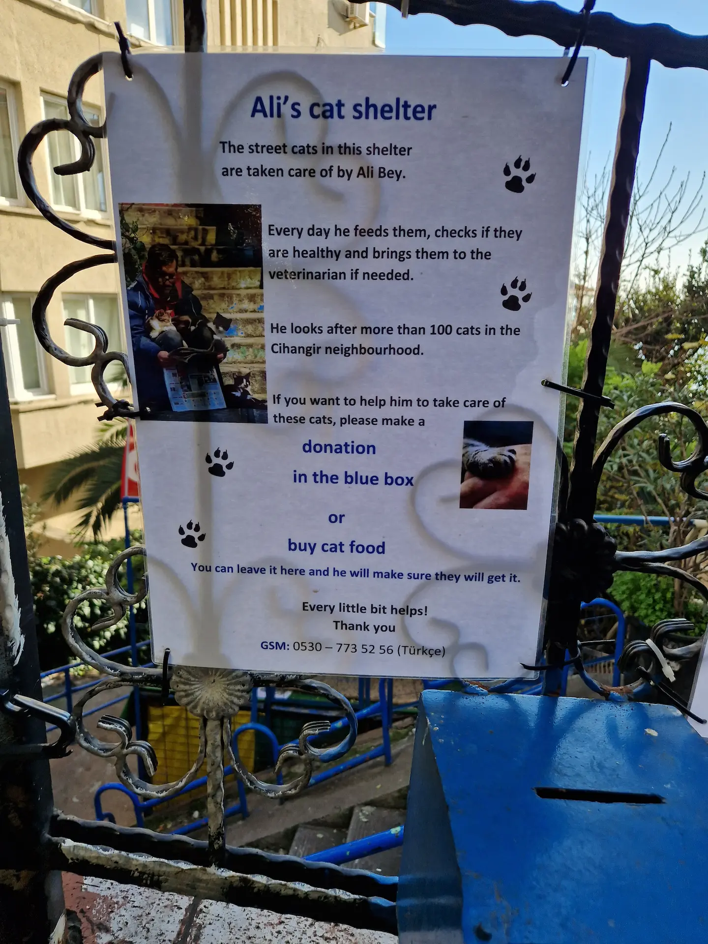 Accrochée à une barrière, une affiche plastifiée titrée 'Ali's cat shelter' explique qu'Ali s'occupe d'une centaine de chats dans le quartier, et demande un don pour participer à l'achat de nourriture ou aux coûts des vétérinaires.