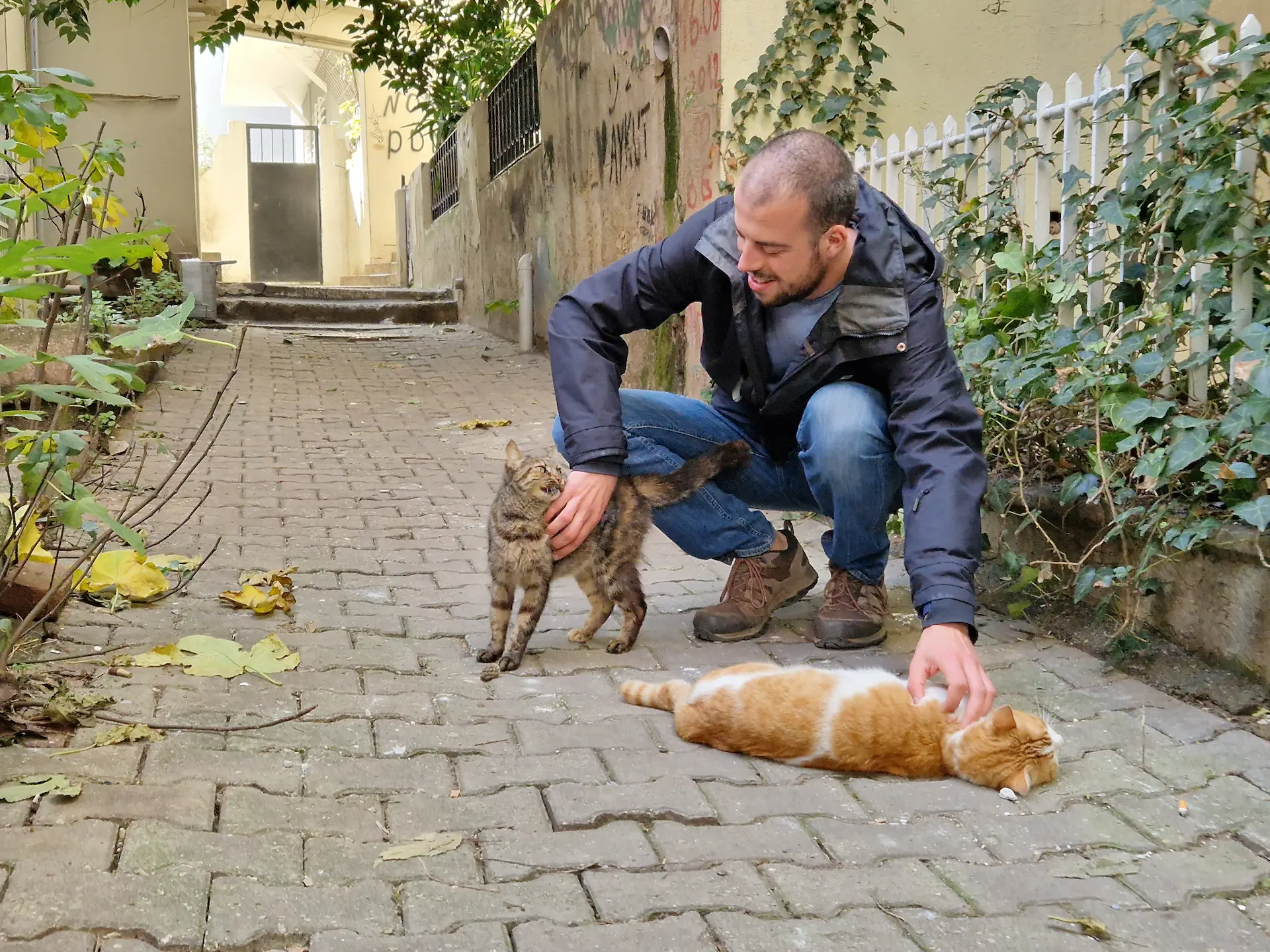 Robin caresse deux chats câlins dans une ruelle de Cihangir