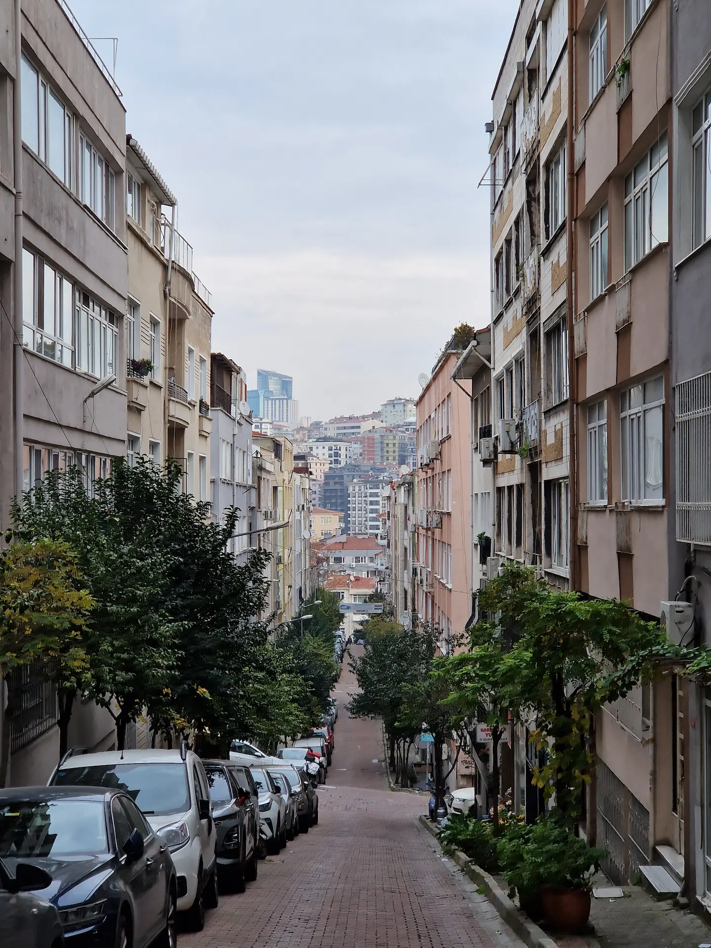 Une rue résidentielle en pente à Nişantaşi, entre des immeubles de quatre ou cinq étages. Il y a des arbres plantés des deux côtés, les voitures sont bien parquées d'un seul côté, pas un chat dans la rue.