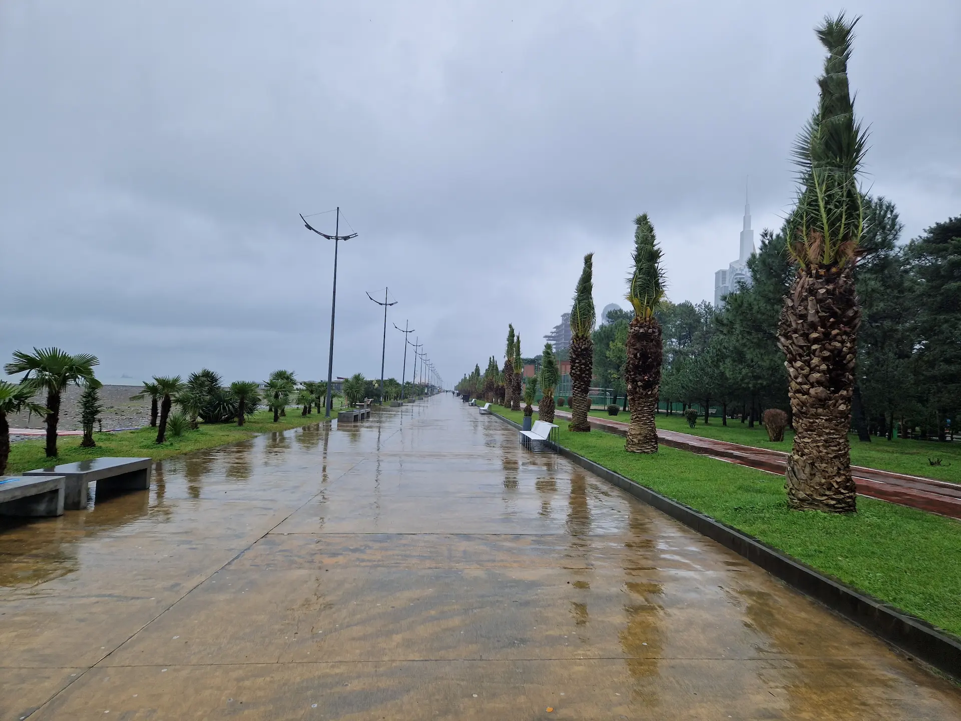 Le "boulevard" de Batoumi, quais bordés de palmiers. Pour l'hiver les palmes des palmiers sont attachées en une sorte de couette. Les quais sont déserts, trempés par la pluie battante.