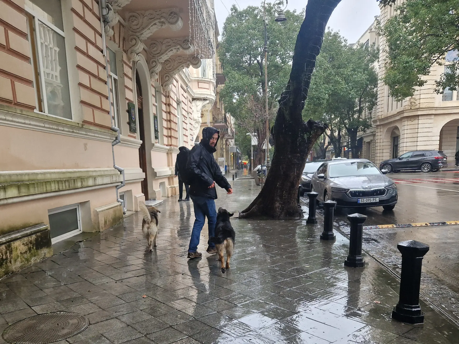 Robin marche sous la pluie (avec veste noire et capuchon sur la tête). Il se retourne vers l'objectif et est suivi de deux gros chiens : sur sa gauche un chien brun, sur sa droite un chien noir qui le regarde dans les yeux.