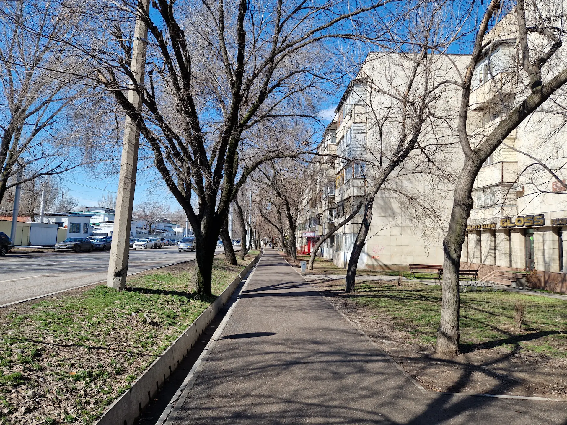 Un trottoir bordé d'arbres sur les deux côtés