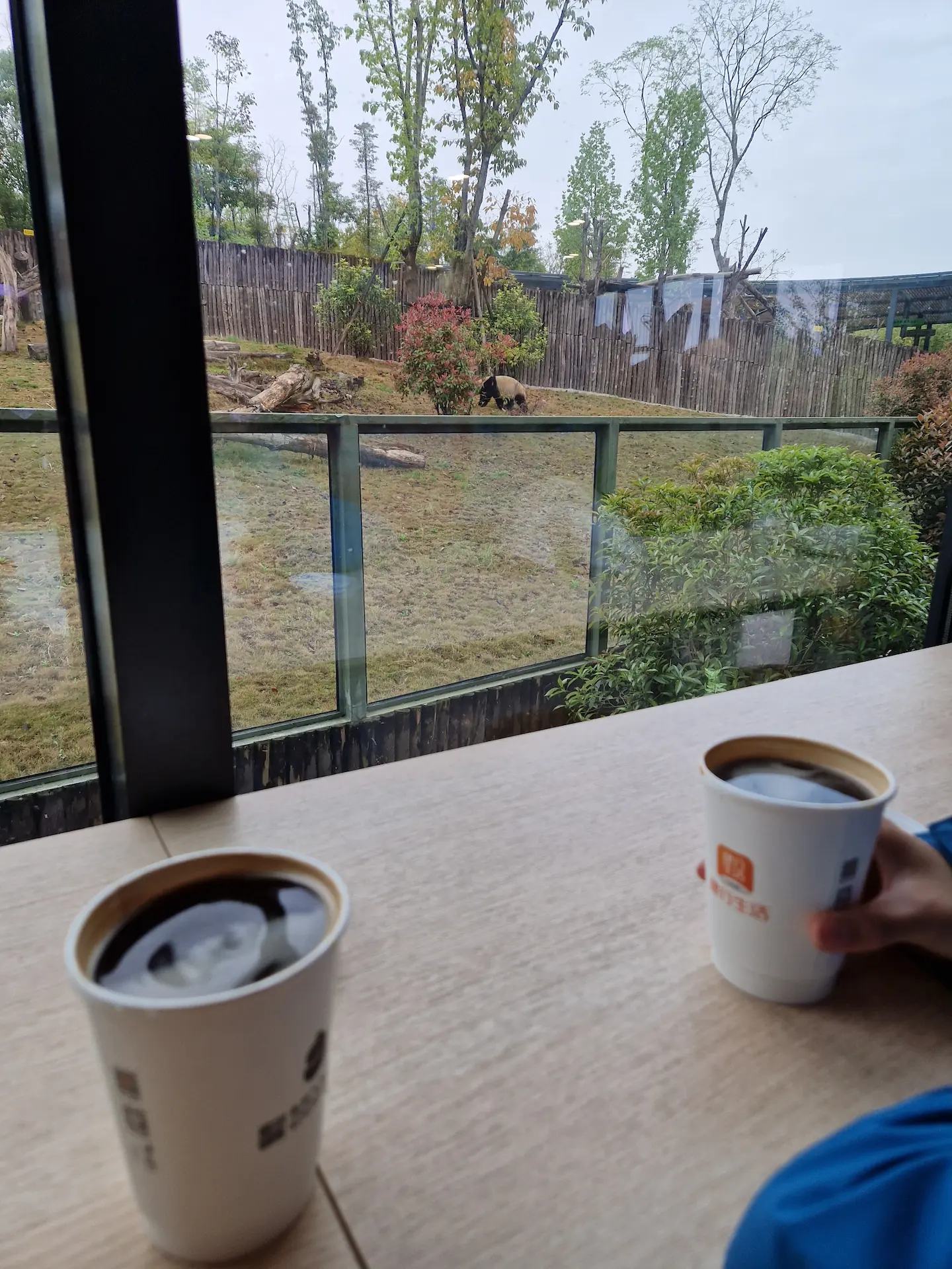 Deux cafés noirs sont posés sur la table, face à la fenêtre. Un peu plus loin, on peut voir un panda qui s'éloigne.