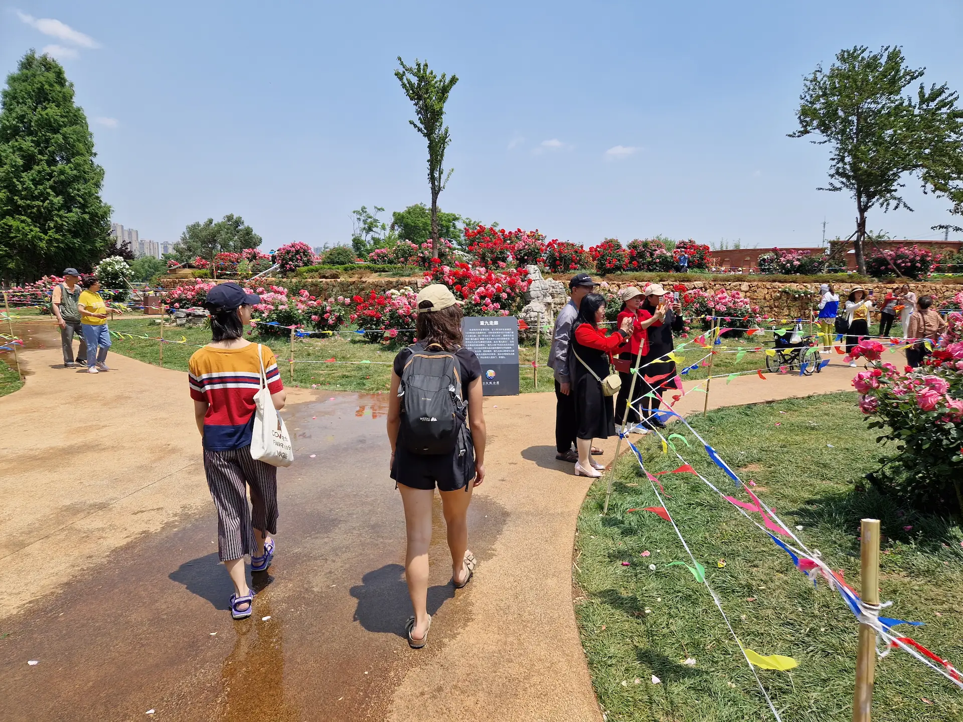 Clara et So marchent dans le parc à roses au milieu des buissons en fleur et des touristes qui prennent des photos.