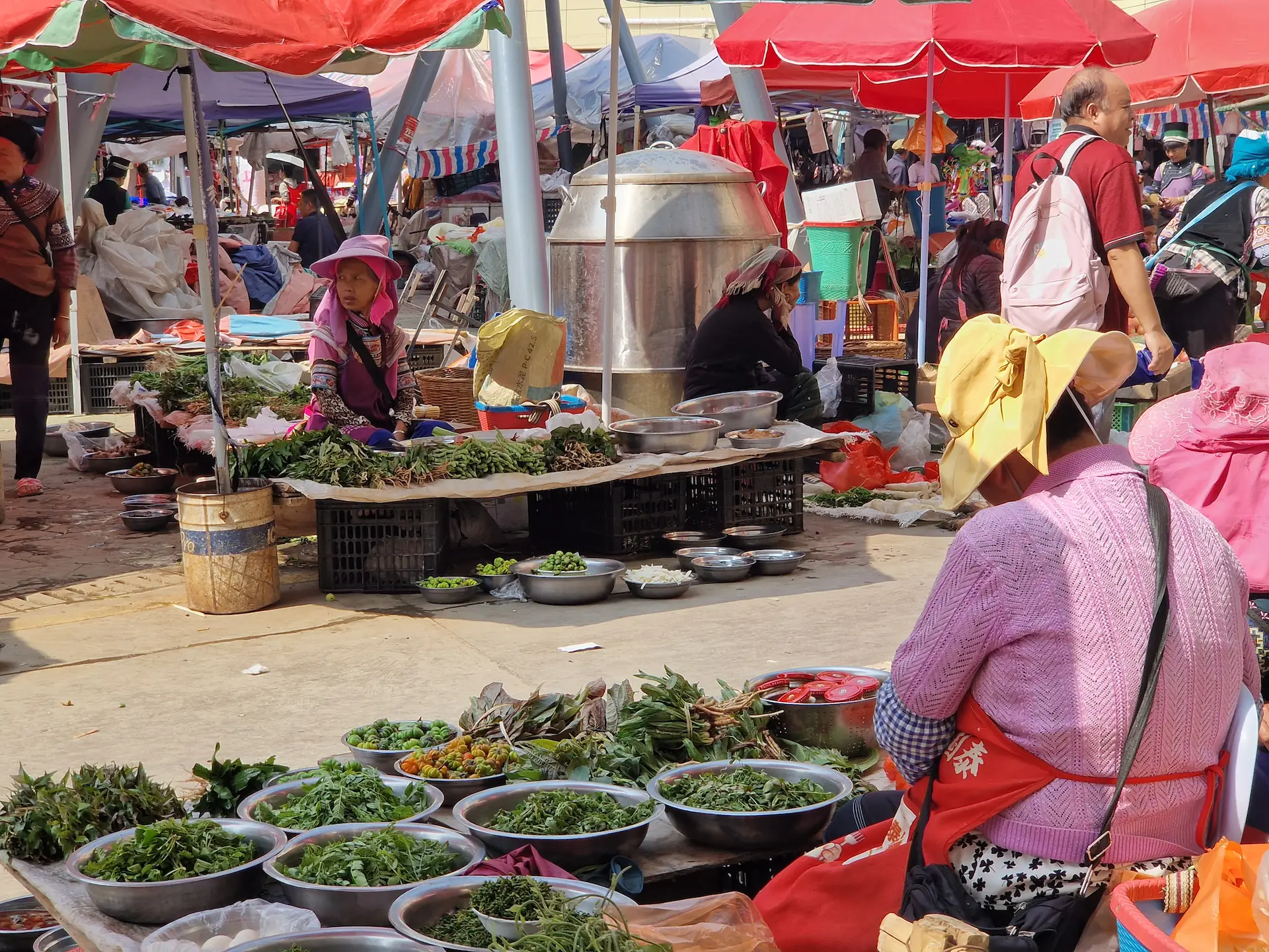 Scène de marché : les stands de vendeuses d'herbes en tous genres se font face, des gens passent en regardant les marchandises.